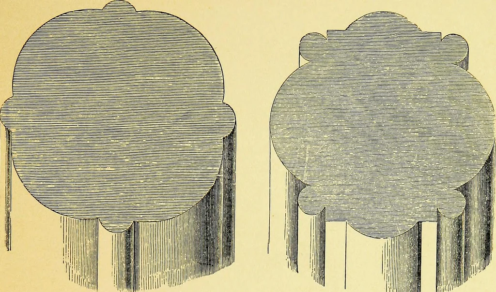 An illustration from A glossary of terms used in Grecian, Roman, Italian, and Gothic architecture, 1845, leaf 248