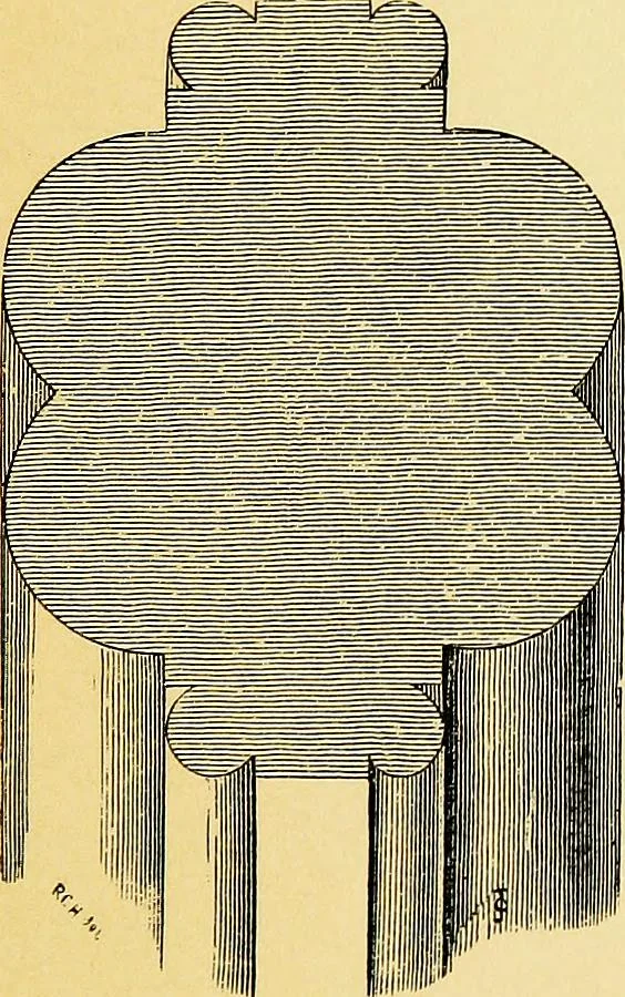 An illustration from A glossary of terms used in Grecian, Roman, Italian, and Gothic architecture, 1845, leaf 248