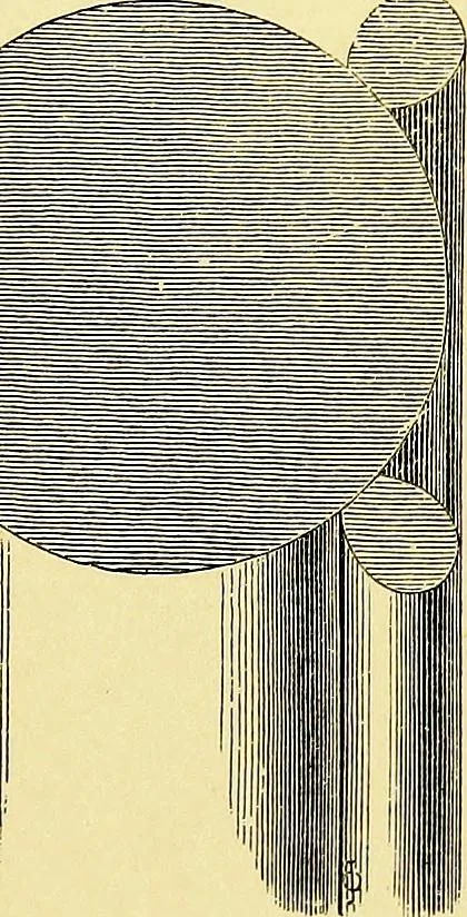 An illustration from A glossary of terms used in Grecian, Roman, Italian, and Gothic architecture, 1845, leaf 248