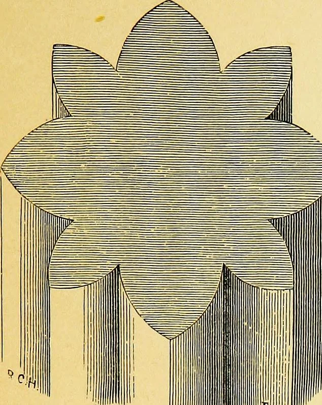 An illustration from A glossary of terms used in Grecian, Roman, Italian, and Gothic architecture, 1845, leaf 250