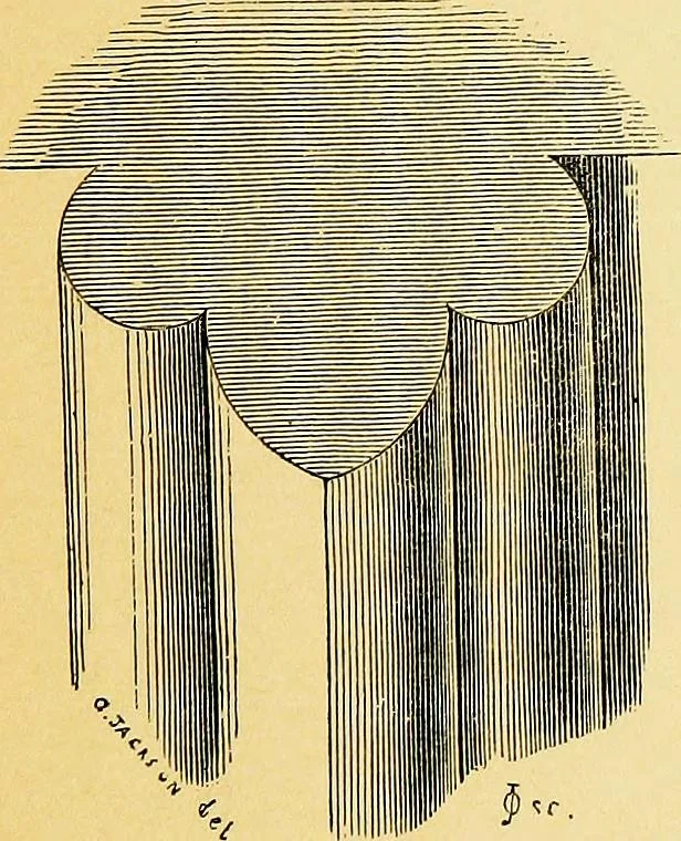 An illustration from A glossary of terms used in Grecian, Roman, Italian, and Gothic architecture, 1845, leaf 250