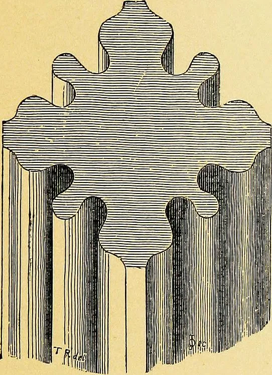 An illustration from A glossary of terms used in Grecian, Roman, Italian, and Gothic architecture, 1845, leaf 252