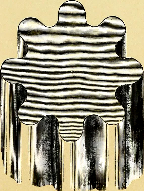 An illustration from A glossary of terms used in Grecian, Roman, Italian, and Gothic architecture, 1845, leaf 254