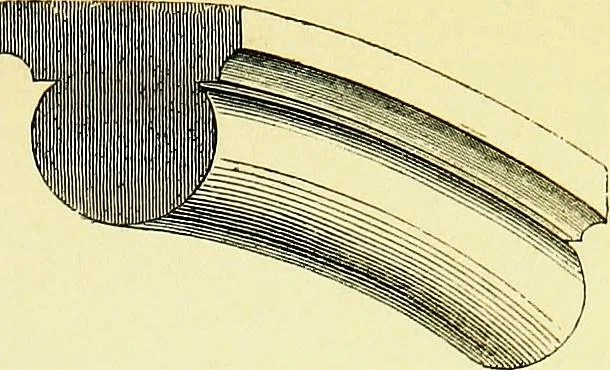 An illustration from A glossary of terms used in Grecian, Roman, Italian, and Gothic architecture, 1845, leaf 278