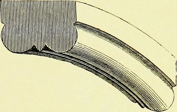 An illustration from A glossary of terms used in Grecian, Roman, Italian, and Gothic architecture, 1845, leaf 278