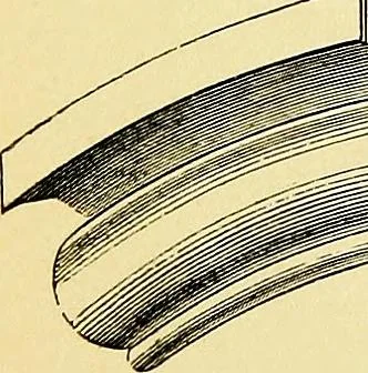 An illustration from A glossary of terms used in Grecian, Roman, Italian, and Gothic architecture, 1845, leaf 278
