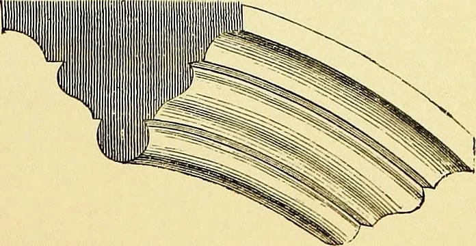 An illustration from A glossary of terms used in Grecian, Roman, Italian, and Gothic architecture, 1845, leaf 278