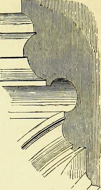 An illustration from A glossary of terms used in Grecian, Roman, Italian, and Gothic architecture, 1845, leaf 29