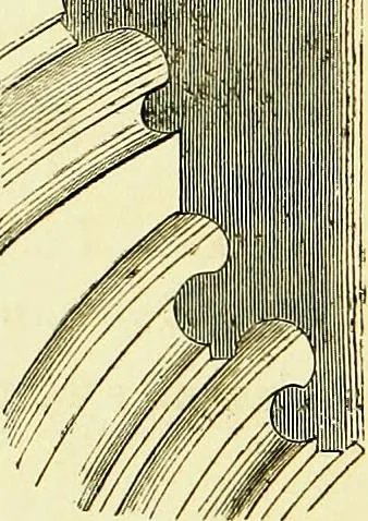 An illustration from A glossary of terms used in Grecian, Roman, Italian, and Gothic architecture, 1845, leaf 29