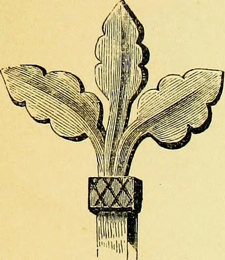 An illustration from A glossary of terms used in Grecian, Roman, Italian, and Gothic architecture, 1845, leaf 296