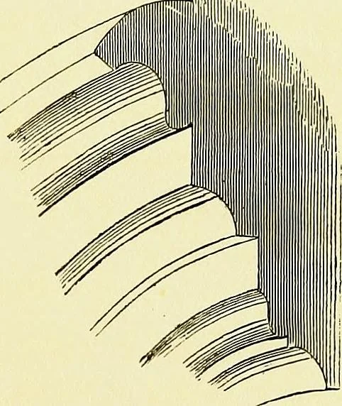 An illustration from A glossary of terms used in Grecian, Roman, Italian, and Gothic architecture, 1845, leaf 34