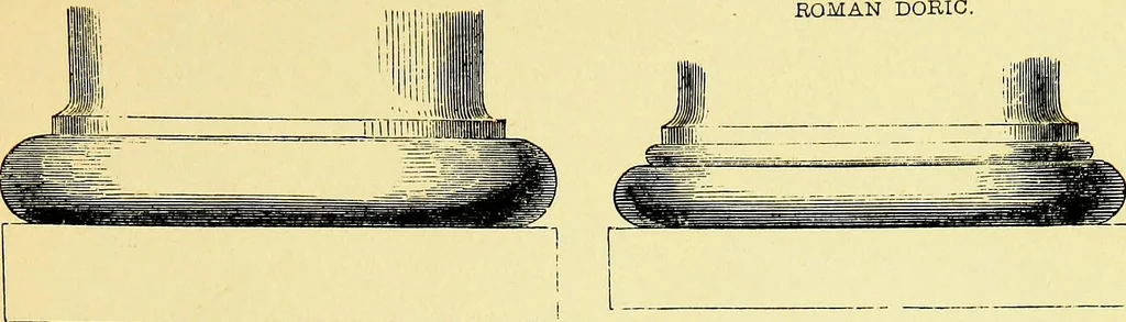 An illustration from A glossary of terms used in Grecian, Roman, Italian, and Gothic architecture, 1845, leaf 58
