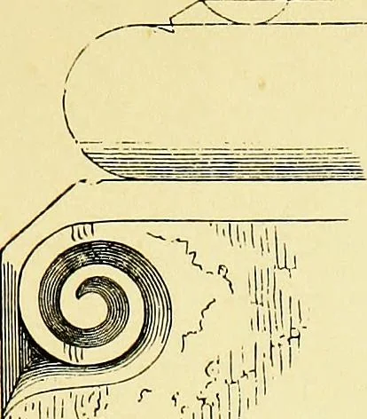An illustration from A glossary of terms used in Grecian, Roman, Italian, and Gothic architecture, 1845, leaf 62