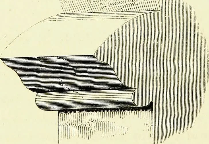 An illustration from A companion to the fourth edition of A glossary of terms used in Grecian, Roman, Italian, and Gothic architecture, 1846, leaf 128