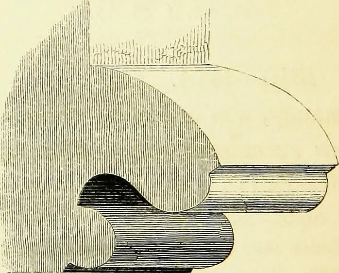 An illustration from A companion to the fourth edition of A glossary of terms used in Grecian, Roman, Italian, and Gothic architecture, 1846, leaf 128