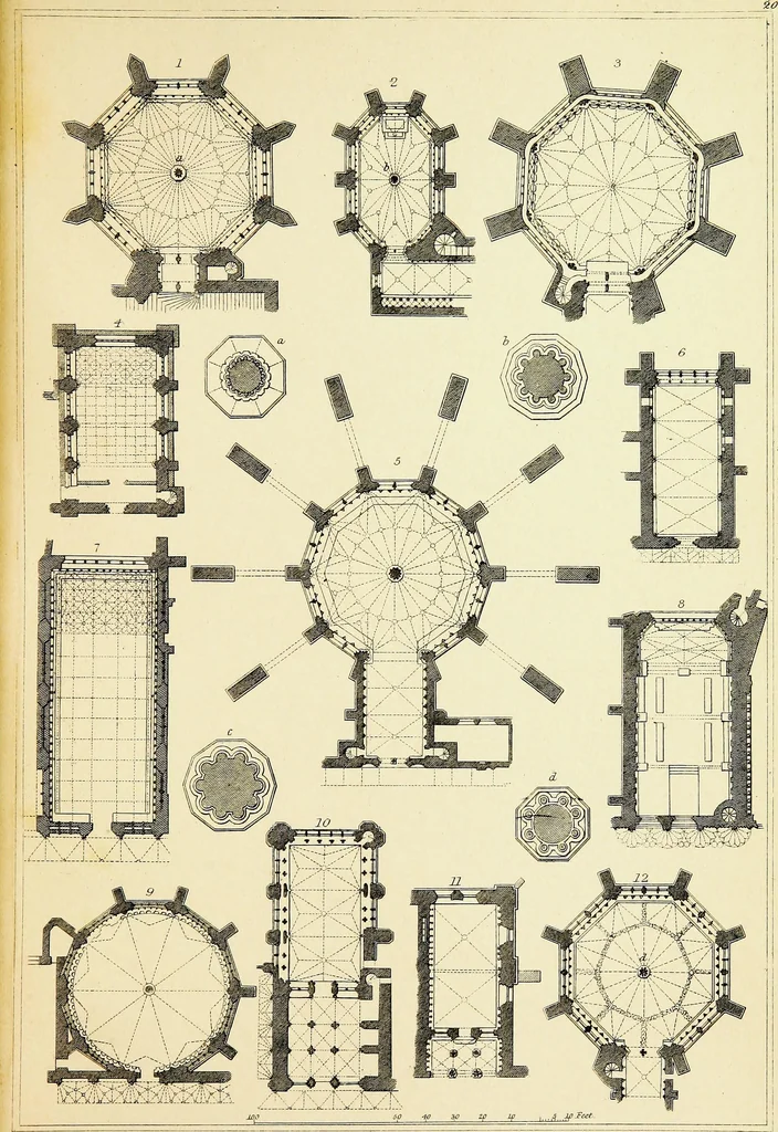 An illustration from A companion to the fourth edition of A glossary of terms used in Grecian, Roman, Italian, and Gothic architecture, 1846, leaf 251