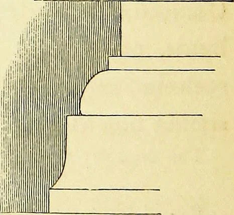 An illustration from A companion to the fourth edition of A glossary of terms used in Grecian, Roman, Italian, and Gothic architecture, 1846, leaf 74