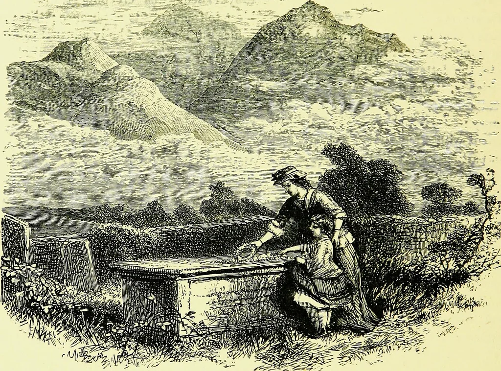 An illustration from A book of memories of great men and women of the age, from personal acquaintance, 1877, leaf 218