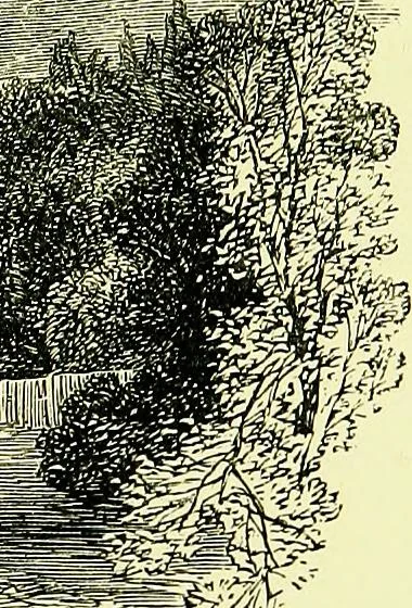 An illustration from A book of memories of great men and women of the age, from personal acquaintance, 1877, leaf 385