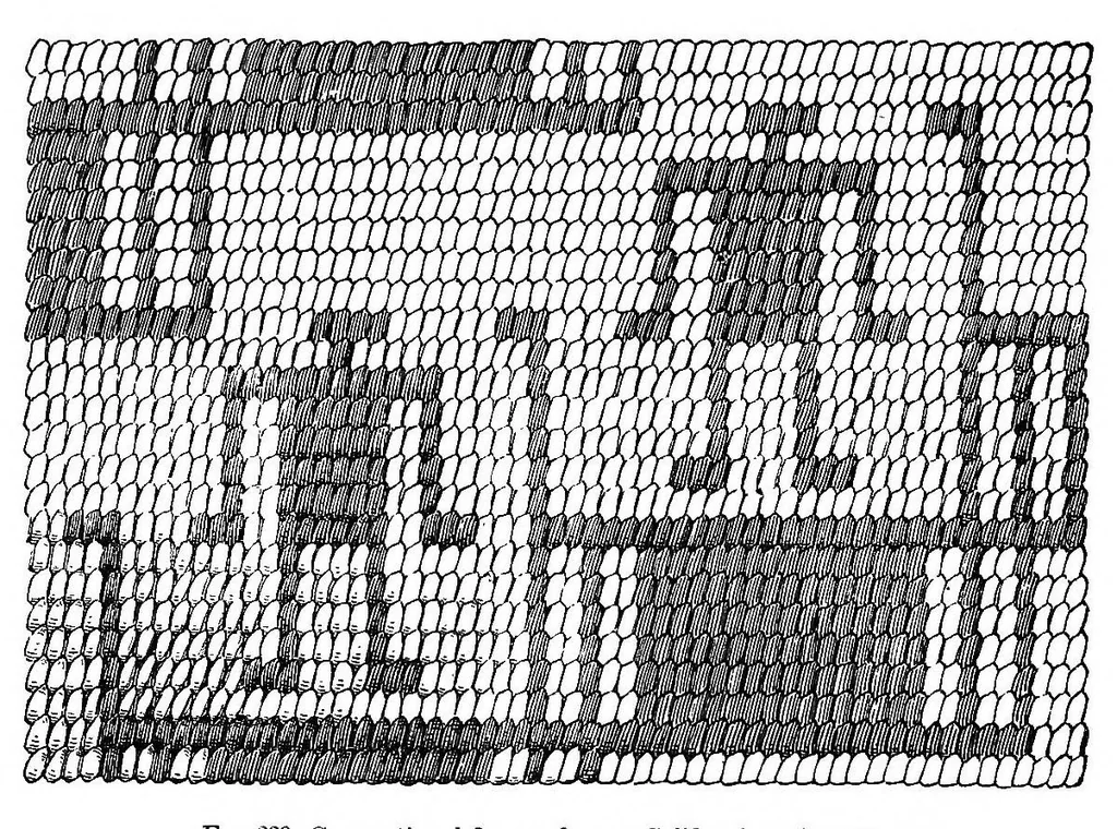 An illustration from A study of the textile art in its relation to the development of form and ornament, 1888, leaf 55