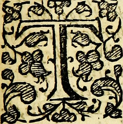 An illustration from The dippers dipt, or, The Anabaptists duck'd and plung'd over head and ears, at a disputation in Southwark : also a large and full discourse of their 1. originall, 2. severall sorts, 3. peculiar errours, 4. high attempts against the state, 5. capitall punishments, 1647, leaf 6