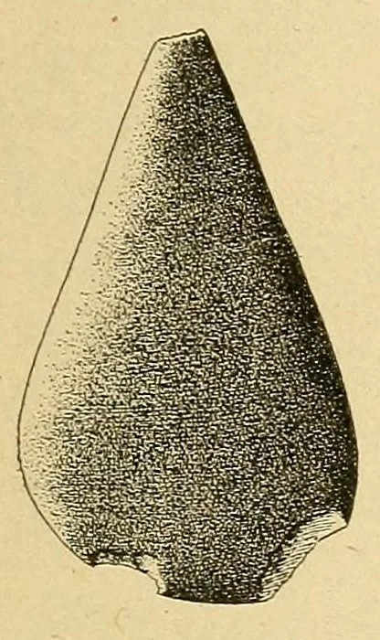 An illustration from Cuba before Columbus, 1921, leaf 147