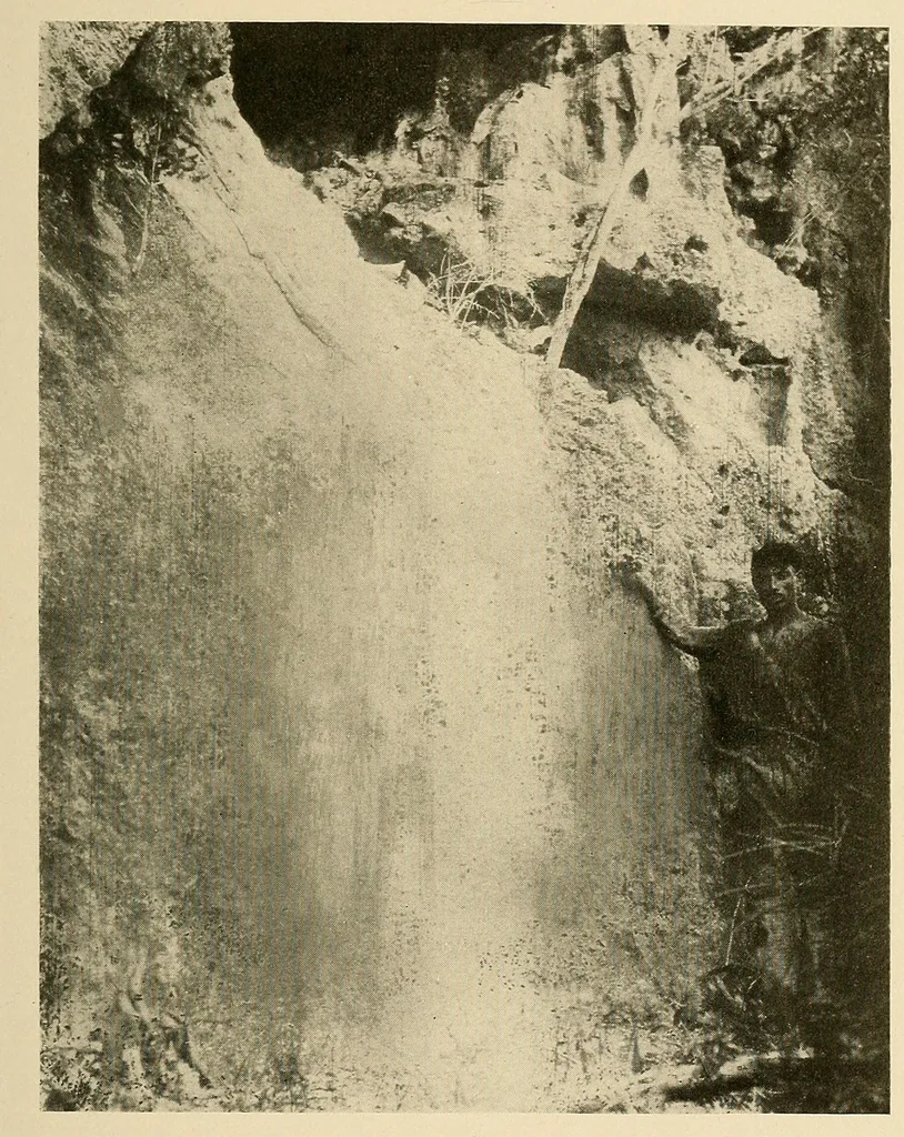 An illustration from Cuba before Columbus, 1921, leaf 335