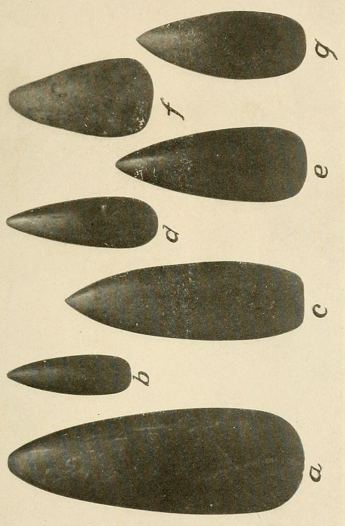 An illustration from Cuba before Columbus, 1921, leaf 149