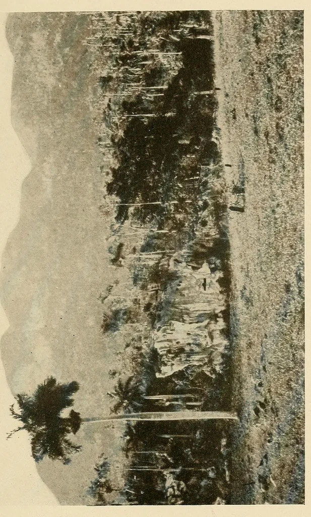 An illustration from Cuba before Columbus, 1921, leaf 175