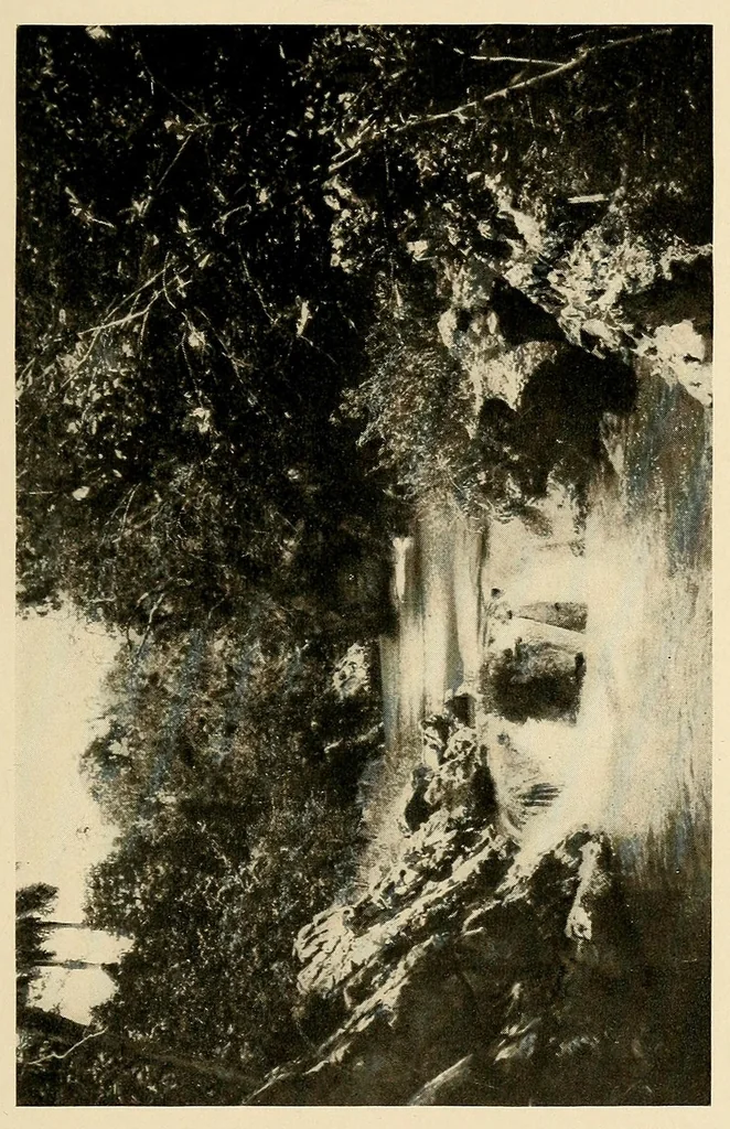 An illustration from Cuba before Columbus, 1921, leaf 189