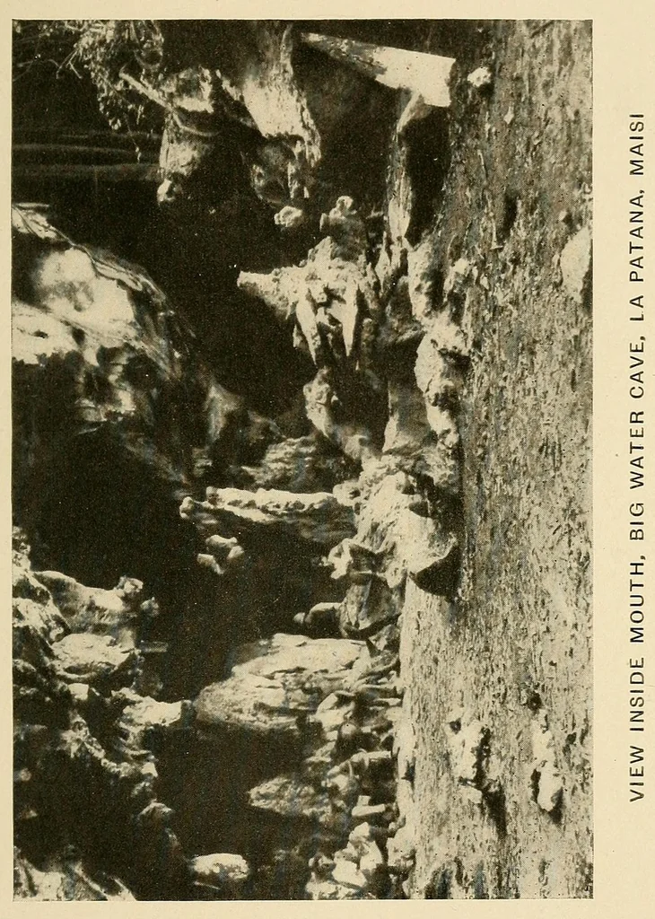 An illustration from Cuba before Columbus, 1921, leaf 45