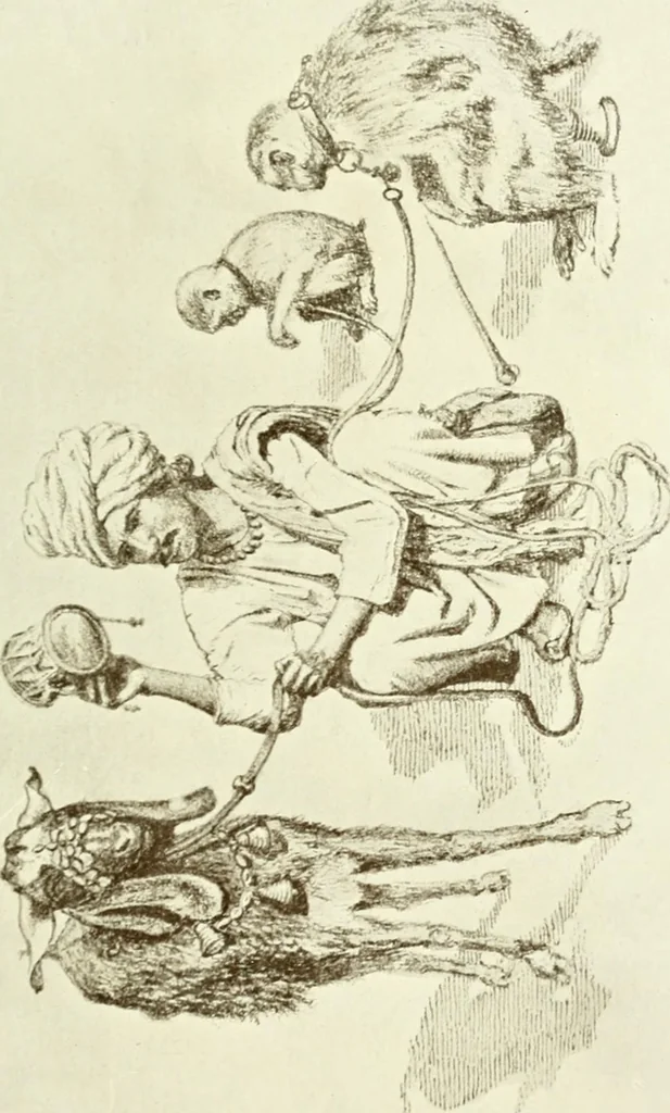 An illustration from Cults, customs and superstitions of India. Rev. and enl. ed. With illus. from photographs and from drawings by William Campbell Oman, 1908, leaf 287