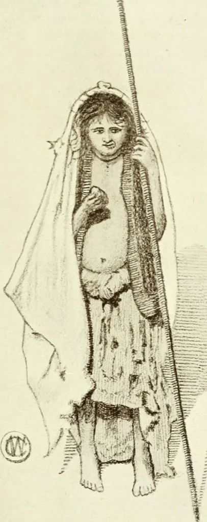 An illustration from Cults, customs and superstitions of India. Rev. and enl. ed. With illus. from photographs and from drawings by William Campbell Oman, 1908, leaf 311