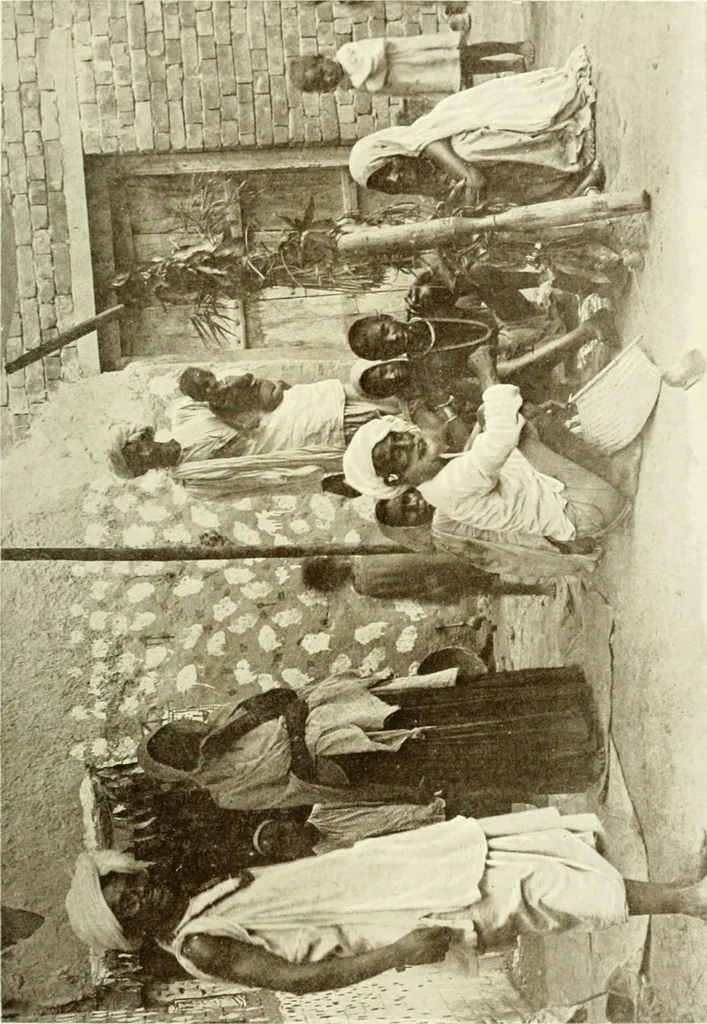An illustration from Cults, customs and superstitions of India. Rev. and enl. ed. With illus. from photographs and from drawings by William Campbell Oman, 1908, leaf 357