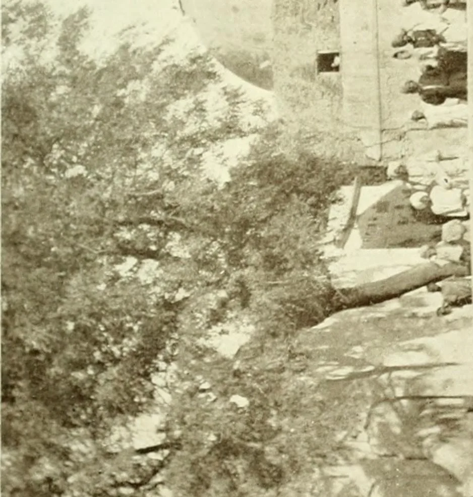 An illustration from Cults, customs and superstitions of India. Rev. and enl. ed. With illus. from photographs and from drawings by William Campbell Oman, 1908, leaf 387