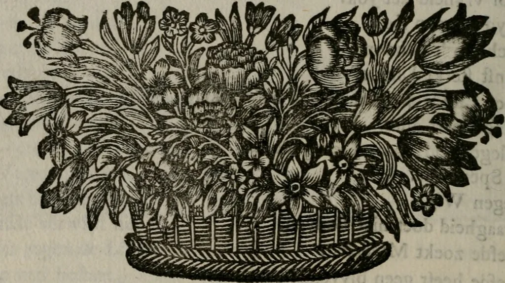 An illustration from Cupidoos mengelwerken, of, Minnespiegel der deugden : bestaande uit stightelyke zinnebeelden, 1728, leaf 241