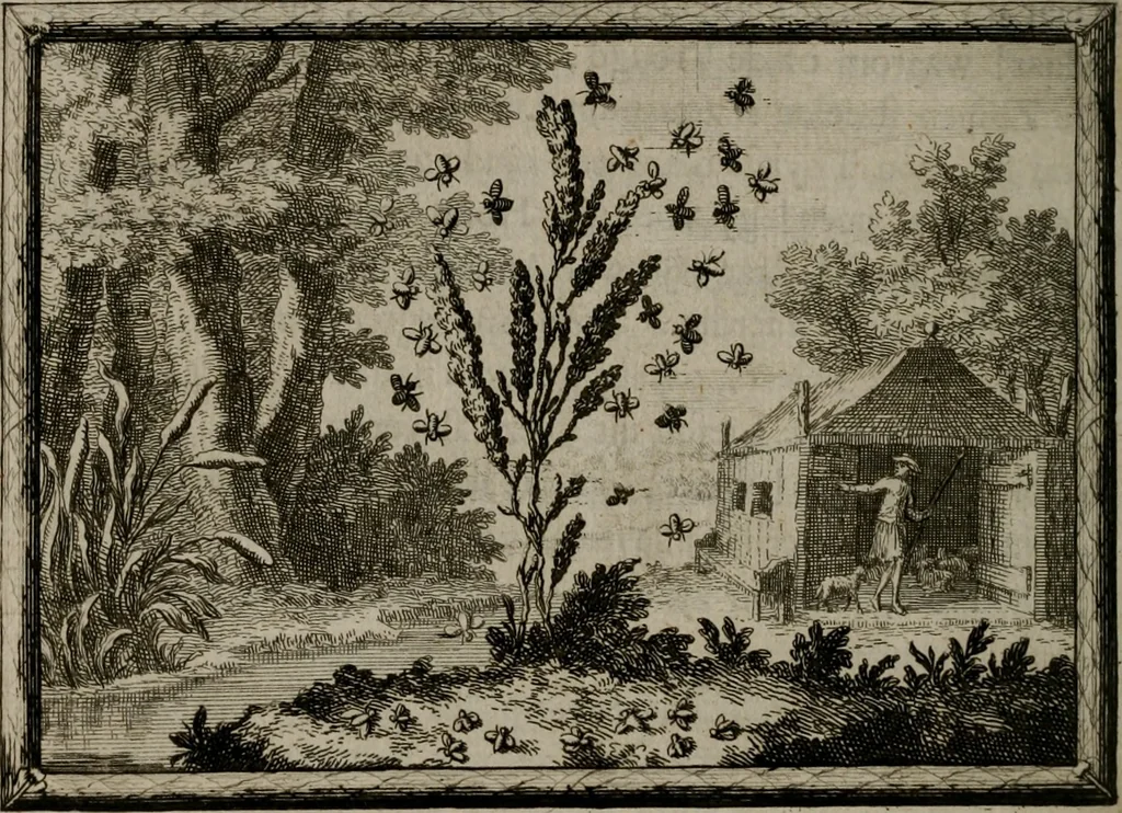 An illustration from Cupidoos mengelwerken, of, Minnespiegel der deugden : bestaande uit stightelyke zinnebeelden, 1728, leaf 49