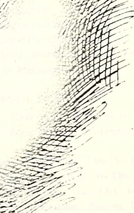 An illustration from The curio : an illustrated monthly magazine, 1887, leaf 215