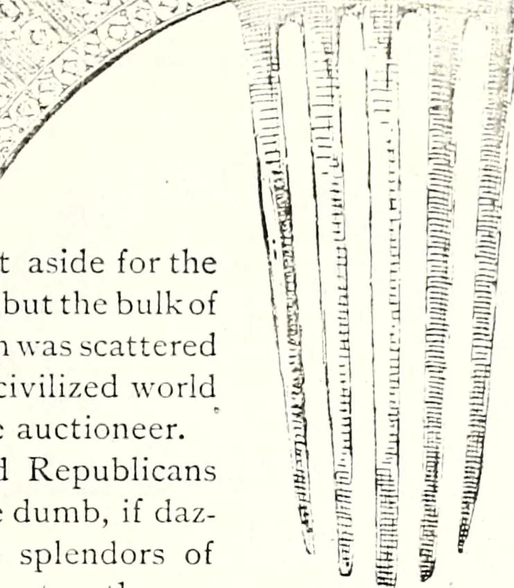 An illustration from The curio : an illustrated monthly magazine, 1887, leaf 235