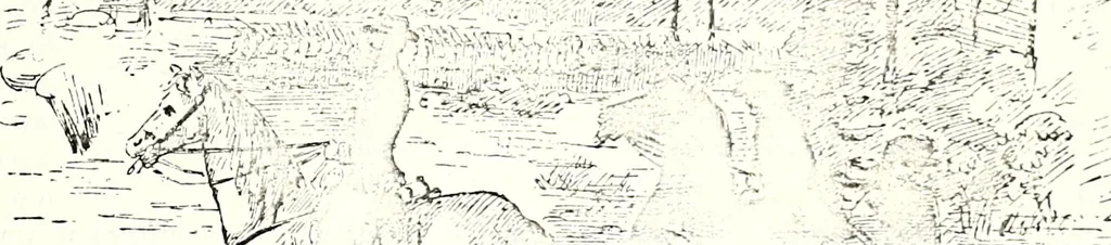 An illustration from The curio : an illustrated monthly magazine, 1887, leaf 305