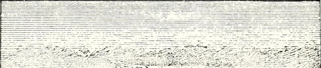 An illustration from The curio : an illustrated monthly magazine, 1887, leaf 475