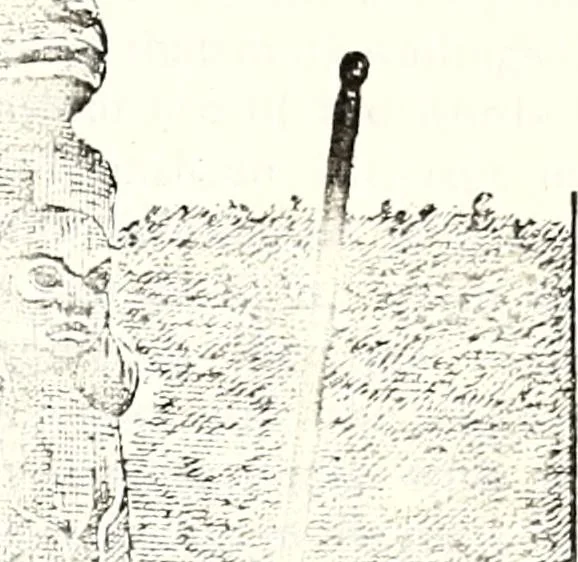 An illustration from The curio : an illustrated monthly magazine, 1887, leaf 477