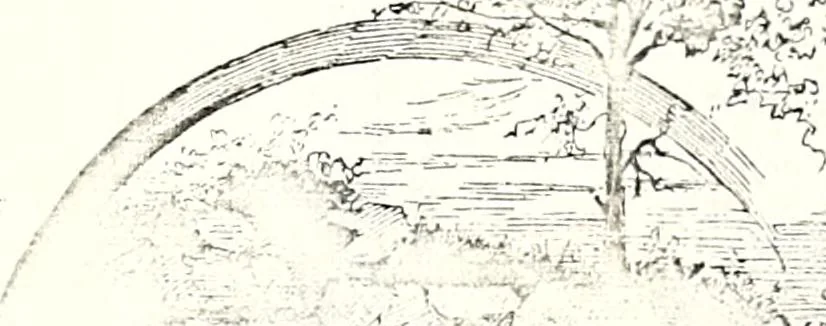 An illustration from The curio : an illustrated monthly magazine, 1887, leaf 513