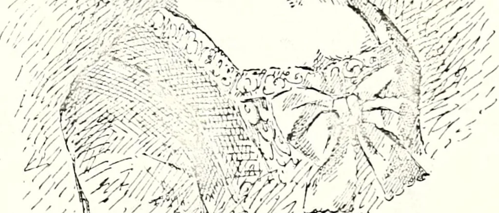 An illustration from The curio : an illustrated monthly magazine, 1887, leaf 521