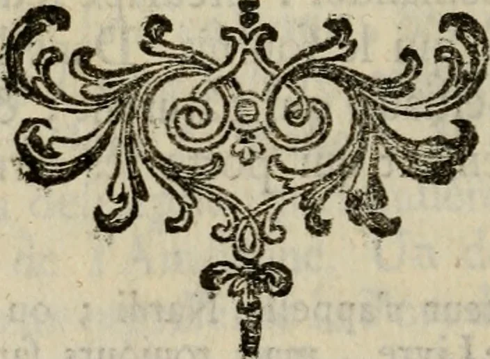 An illustration from Catalogue raisonné des diverses curiosités du cabinet de feu M. Quentin de Lorangere, composé de tableaux originaux des meilleurs maîtres de Flandres, d'une très-nombreuse collection de desseins & d'estampes de toutes les ecoles, de plusieurs atlas & suites de cartes, de quantité de morceaux de topographie, & d'un coquillier fait avec choix ..., 1744, leaf 155