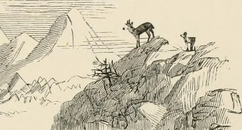 An illustration from Curiosities of heat, 1871, leaf 299