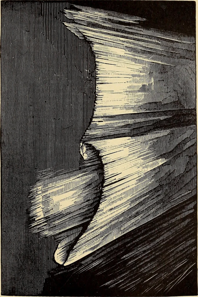 An illustration from Curiosities of the sky, a popular presentation of the great riddles and mysteries of astronomy, 1909, leaf 177