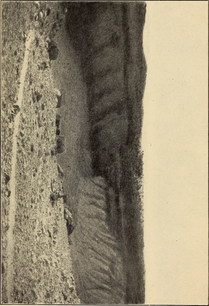 An illustration from Curiosities of the sky, a popular presentation of the great riddles and mysteries of astronomy, 1909, leaf 227