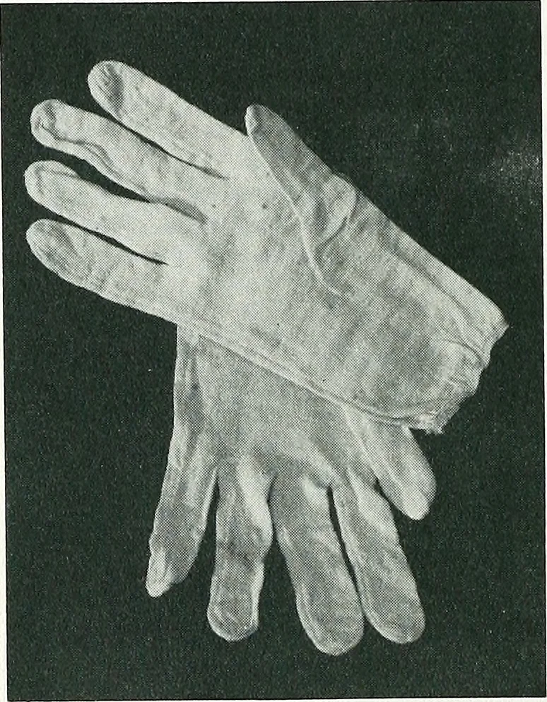 An illustration from Curios and relics. Campaign & patriotic materials, 1904, leaf 25