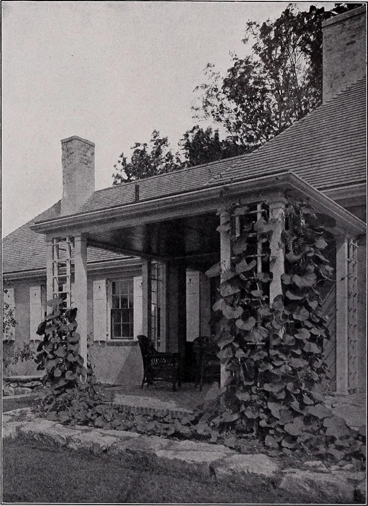 An illustration from Current architecture: published in connection with a joint exibition [sic] held in Boston November 1916, 1916, leaf 39